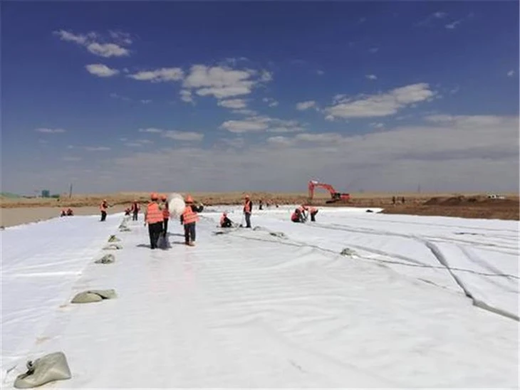 100GSM - 1500GSM Geosynthetic Material Polyester Pet Polypropylene PP Nonwoven Needle Punched Geotextile