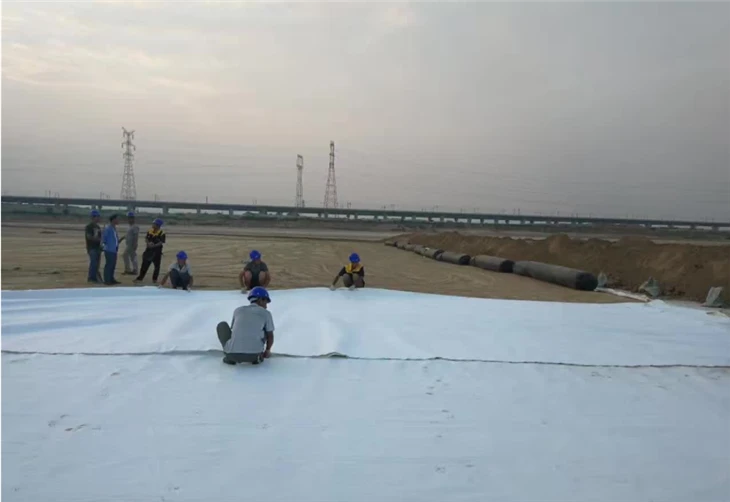 100GSM - 1500GSM Geosynthetic Material Polyester Pet Polypropylene PP Nonwoven Needle Punched Geotextile